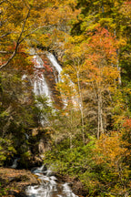 Anna Ruby Falls in Autumn, Georgia