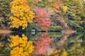 Autumn Cabin Reflections, Vogel State Park