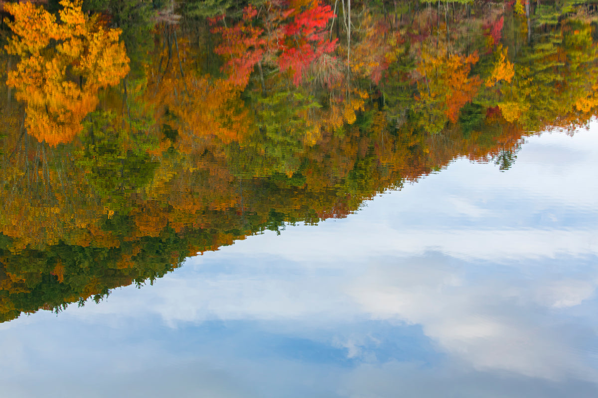 Autumn Reflections, Vogel State Park