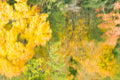 Abstract Autumn Reflections, Vogel State Park