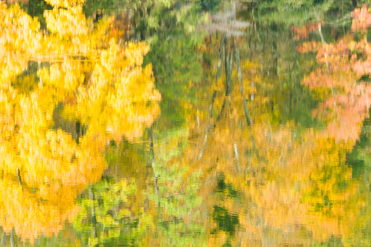 Abstract Autumn Reflections, Vogel State Park