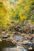Tallulah Gorge, Georgia