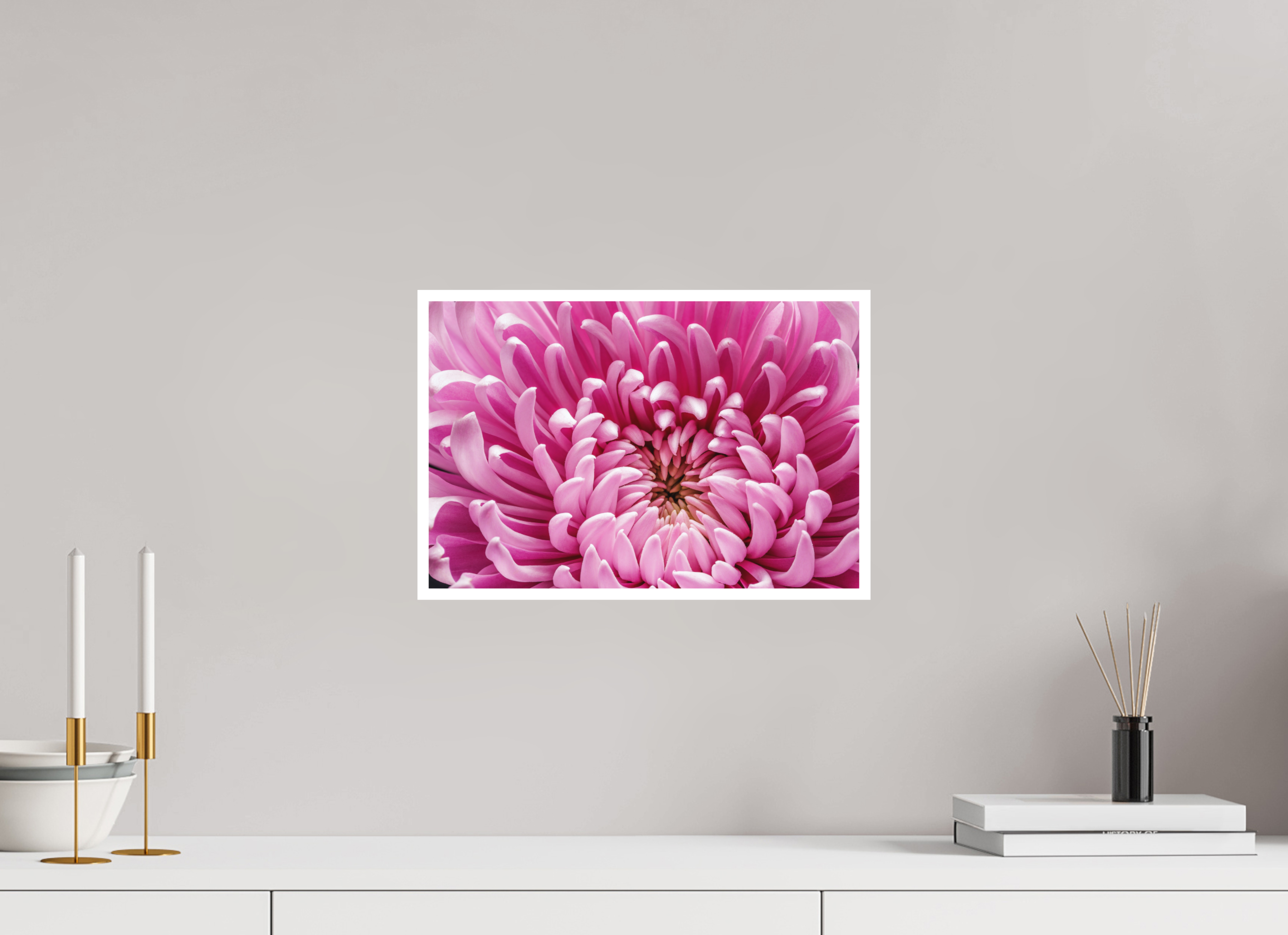 15 x 10″, Fine Art Print Pink Chrysanthemum Flower