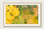 Abstract autumn reflections with wood frame and white mat