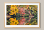 Autumn cabin and lake photograph with wood frame and white mat