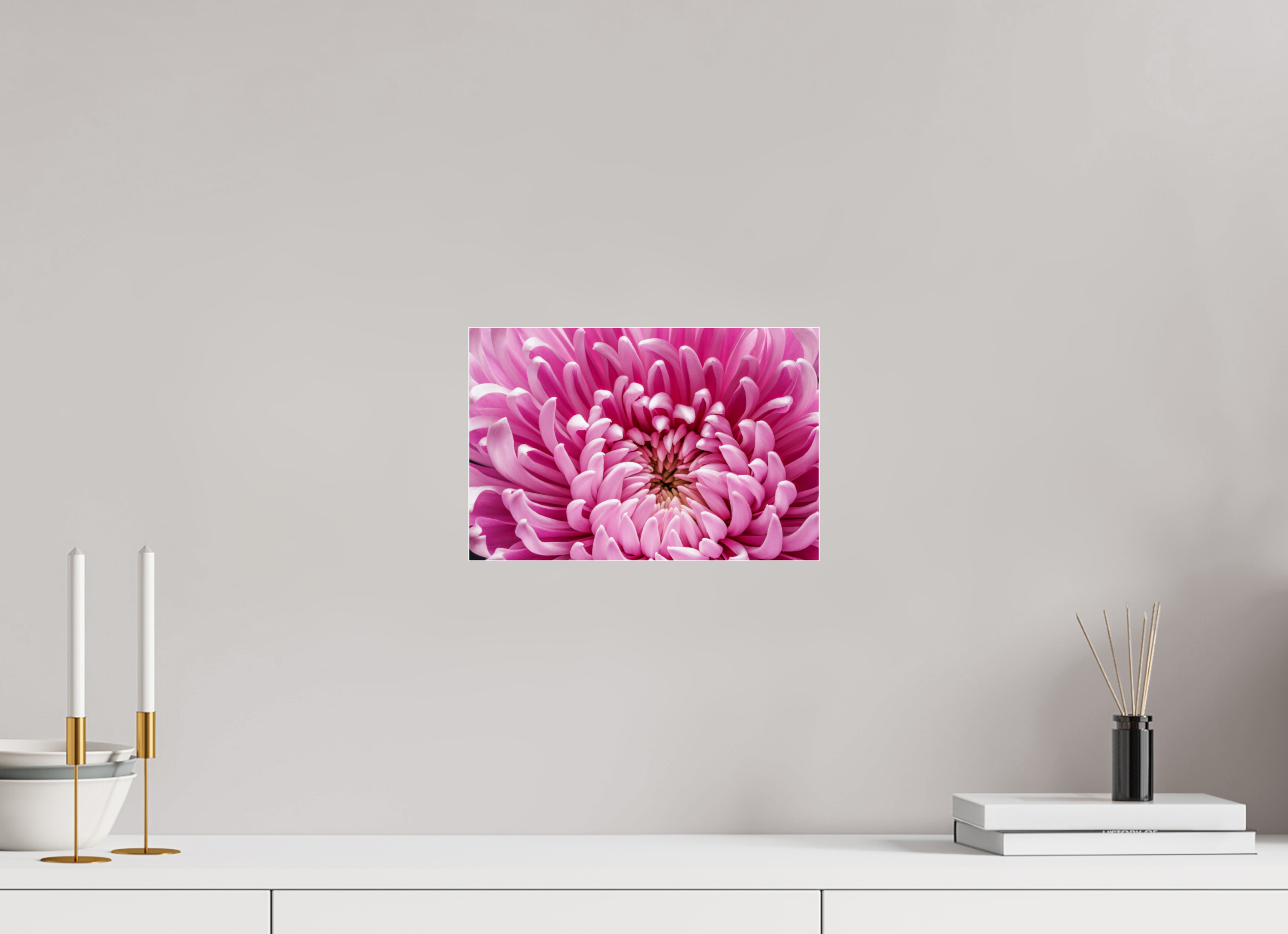 12 x 8″, Photo Print Under Acrylic Glass Pink Chrysanthemum Flower