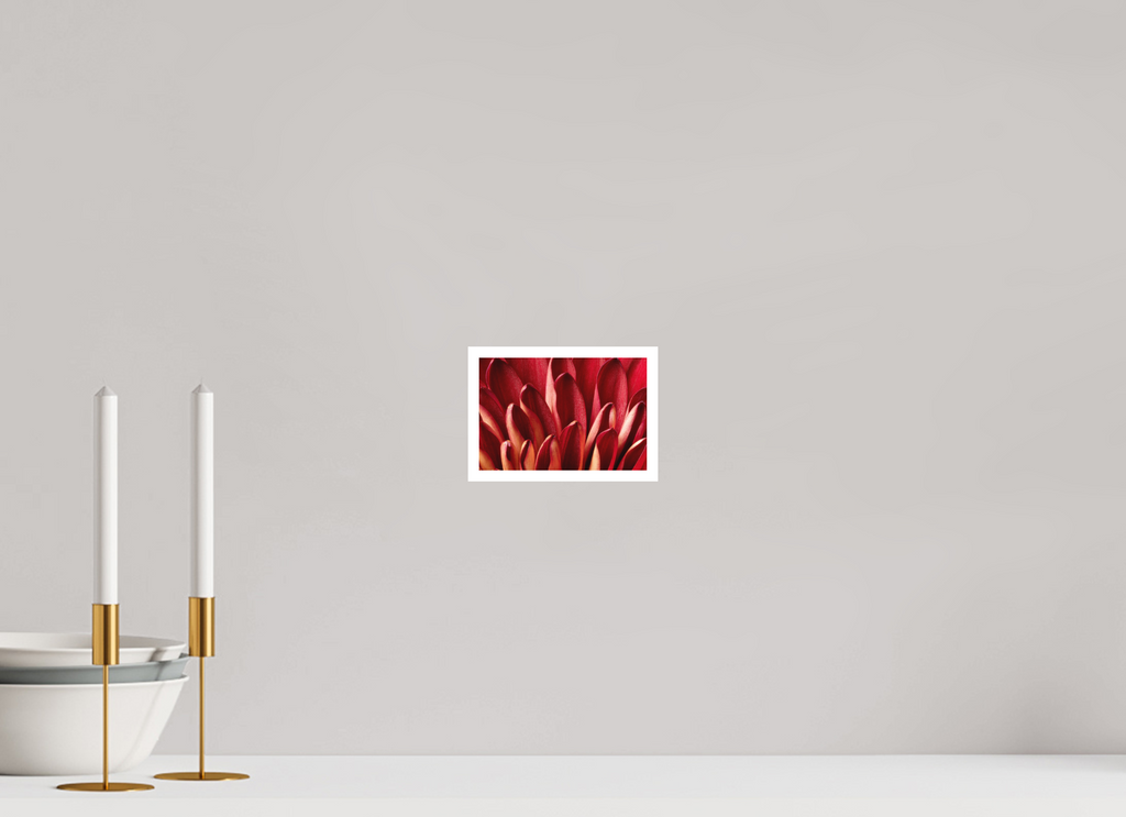6 x 4″, Photo Print On Fuji Crystal DP II, Matte Red Mums Petals
