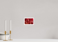 6 x 4″, Photo Print On Fuji Crystal DP II, Matte Red Mums Petals