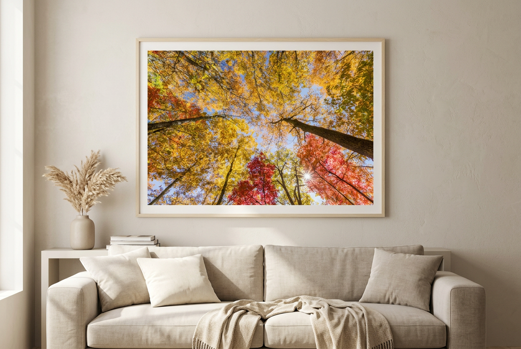Fall foliage canopy photograph in a warm living room