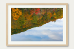 Fall foliage reflection photograph with wood frame and white mat