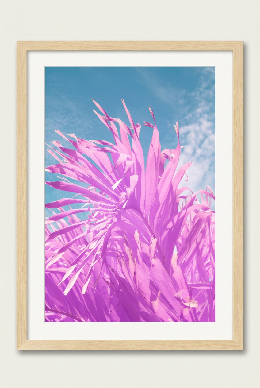 Infrared palm photograph with a wood frame and white mat