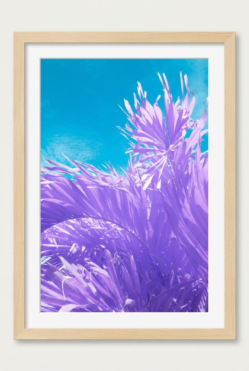 Infrared palm photograph with wood frame and white mat