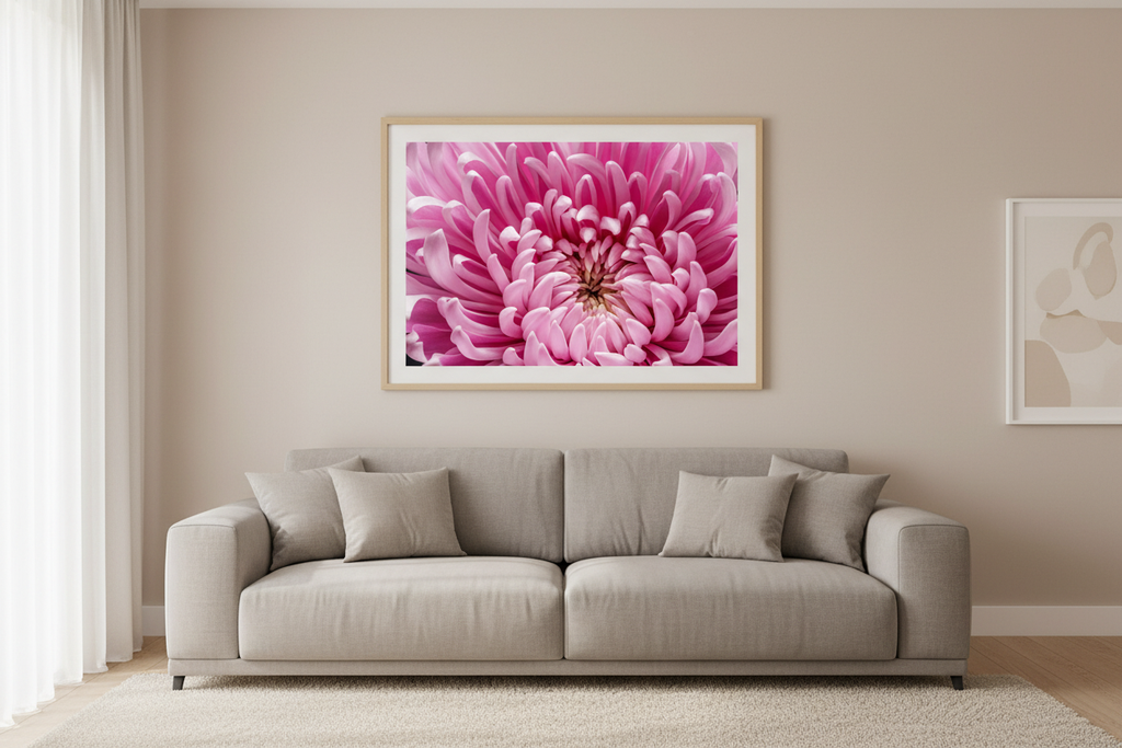 Pink Chrysanthemum in Bloom — Living Room Mockup