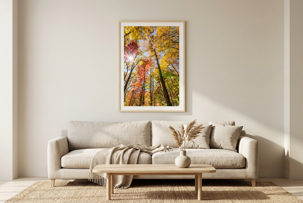 Sunlit autumn forest photograph in a warm living room