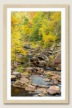 Tallulah Gorge photograph with wood frame and white mat